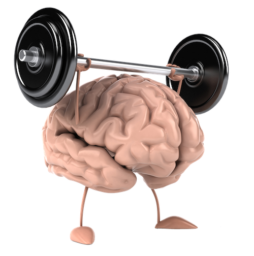 3D-brain-dumbell.png