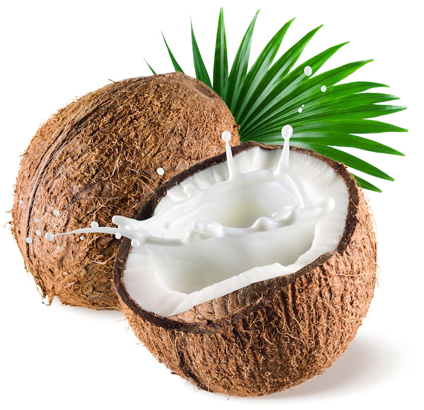 coconut.png