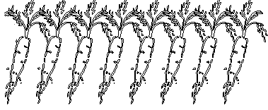 weem24
