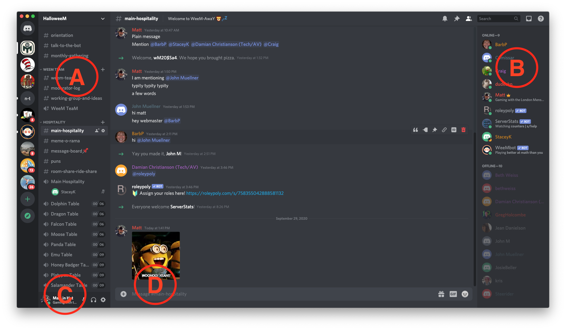 discord-screen