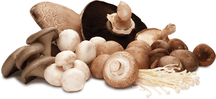 mushrooms.png