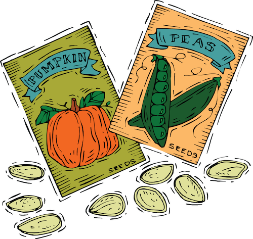 seed-packets.png